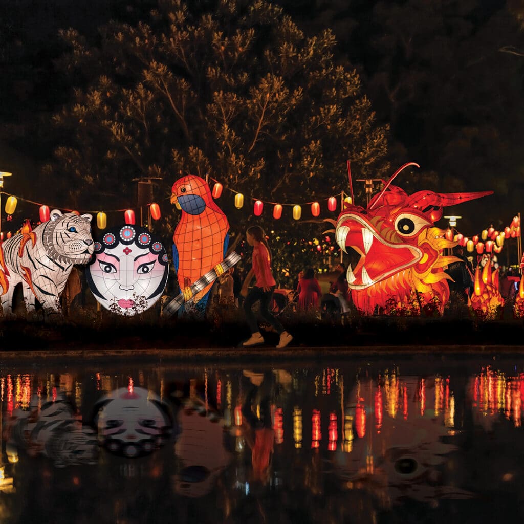 393721691 895773882112620 4776643331205654908 n