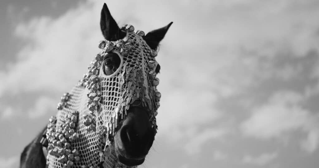 EX WR BIE24 Tina Stefanou Horse Power 2019 01 SRGB 2000px