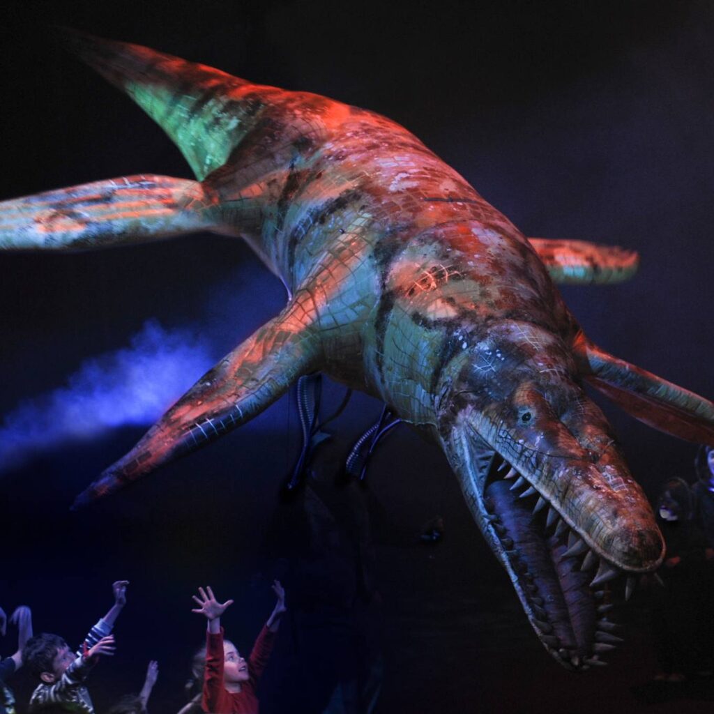 449526790 495531356470318 3888326577265385722 n