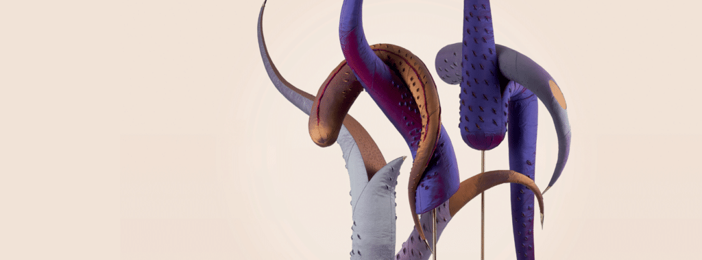 447796546 846517800855118 9048666963781138732 n