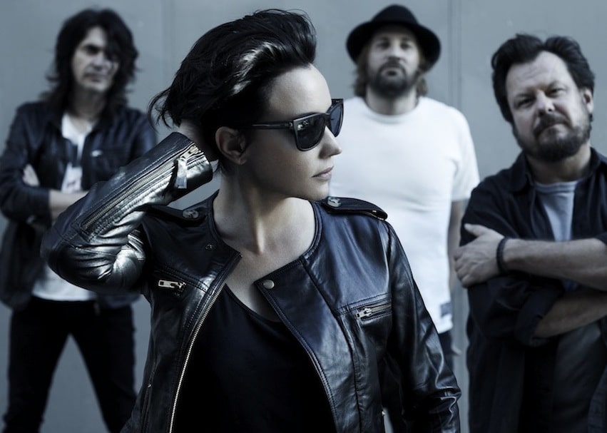 Baby Animals image 1