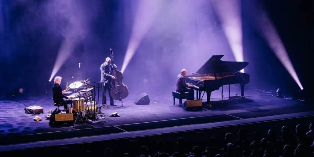 user crop TheNecks credit Jordan Munns jordankmunns resized