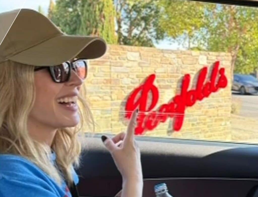 480069689 953518816924485 6593810782421614951 n