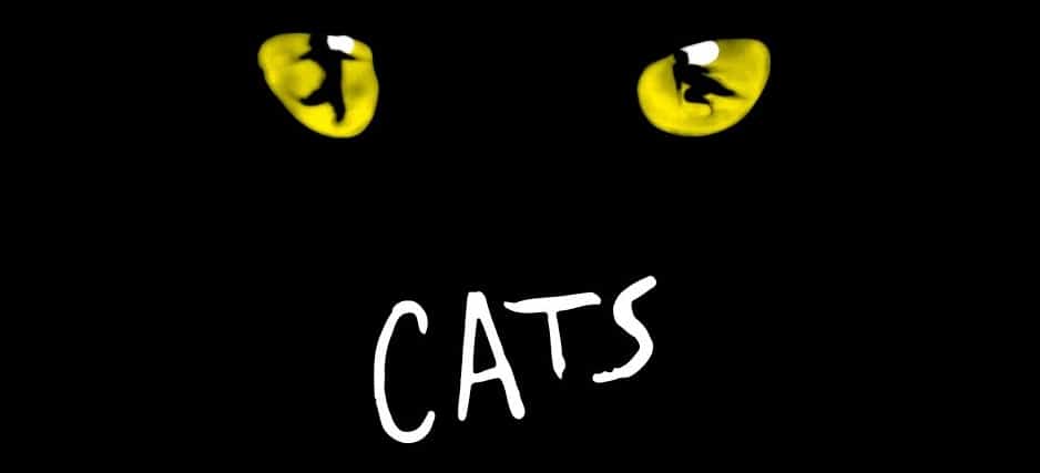 CATS LETTERHEAD 1 e1737342302579