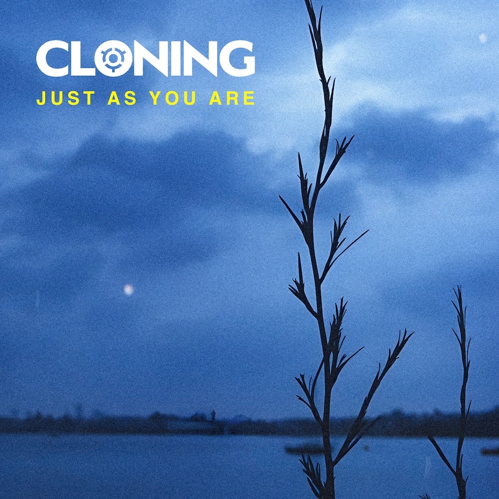 235b95b6 2464 65ca 7344 208da89ef752