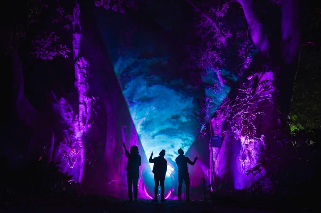 491762451 700244482665670 4332792035785522191 n