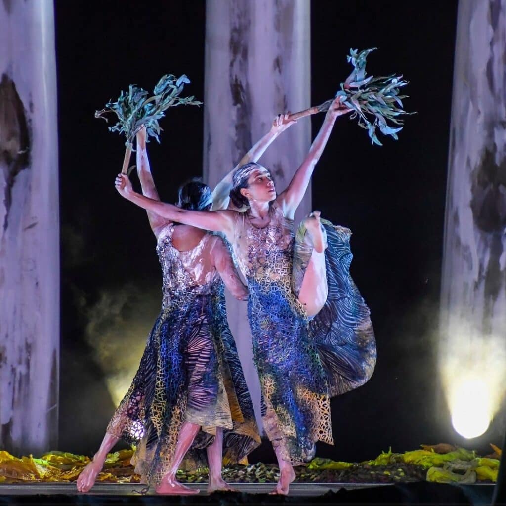 508689150 1248325553325257 4284541619366190504 n