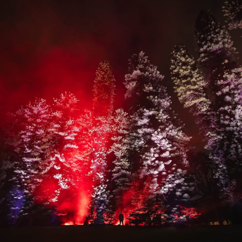 514029697 757567483600036 7475247856881498809 n