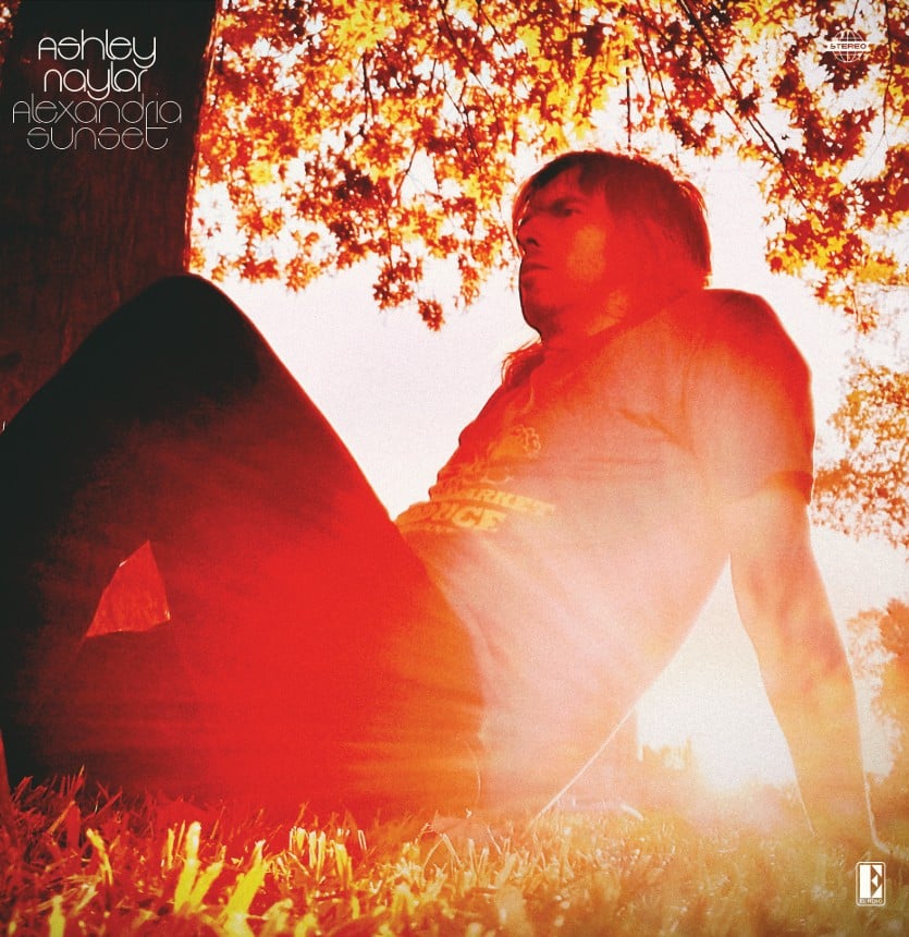 3ae51407 9507 82e1 f84c ea8207cd5186