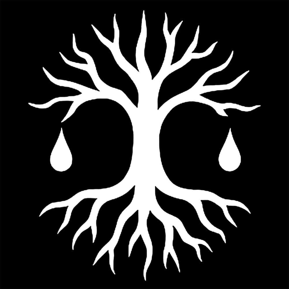 542200544 1363747498448965 5389640833091627872 n