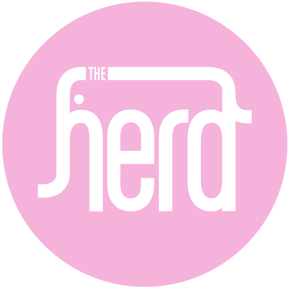 324669657 505176191756330 1578947273126659446 n