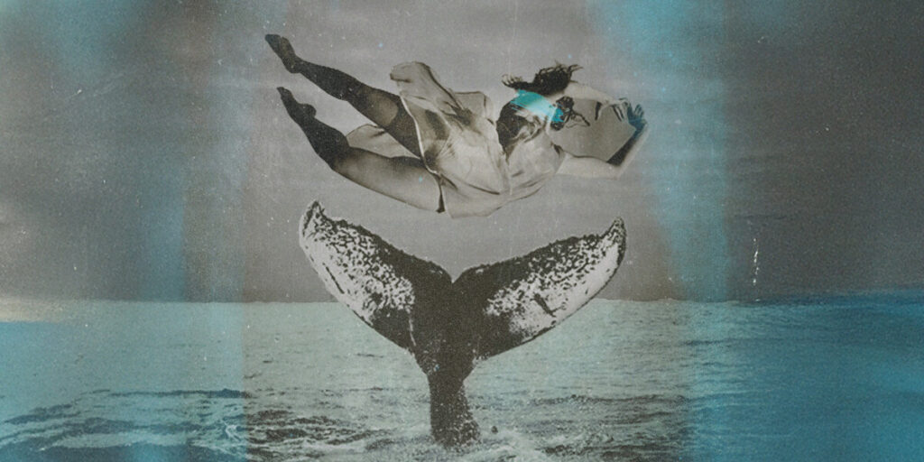 user crop WILD hero ADL banner