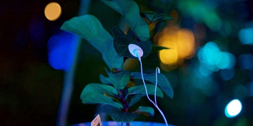 user crop celestial gardens2