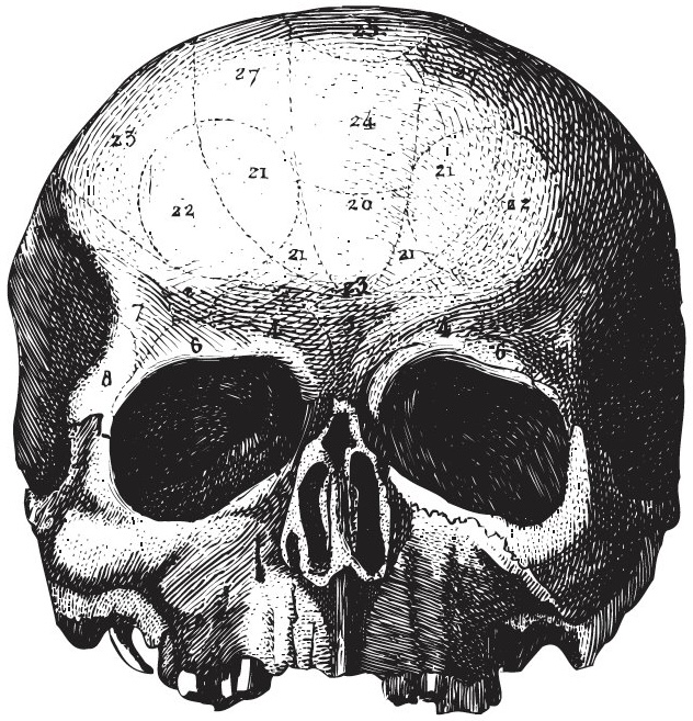 143482302 248309473331141 6408486045551077471 n