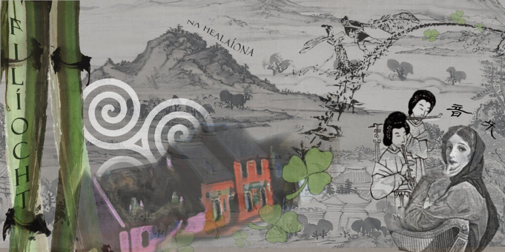 user crop IMG 7117 1